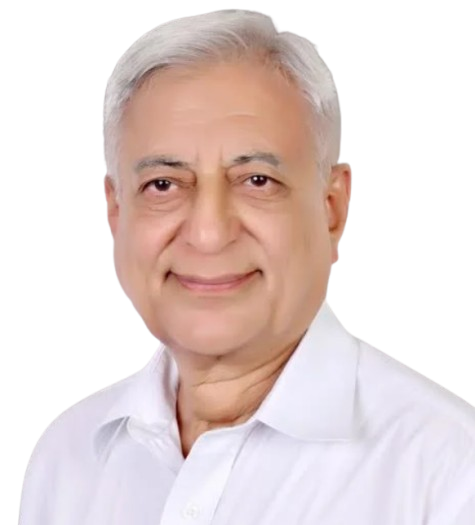 Prof Vijay Kumar Nangia